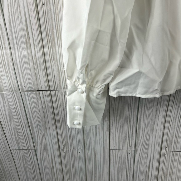 Clothes White Top with Sequined Slacks - Picture 6 of 11